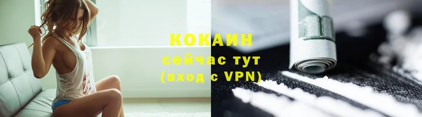 COCAIN Эквадор  Дмитров 